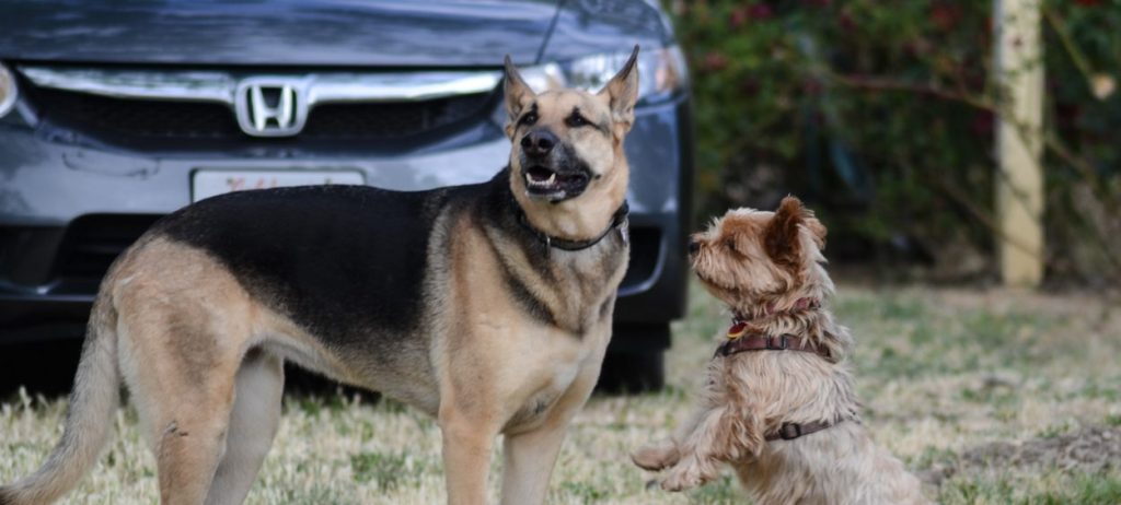 Lessons of a&nbsp;Farm