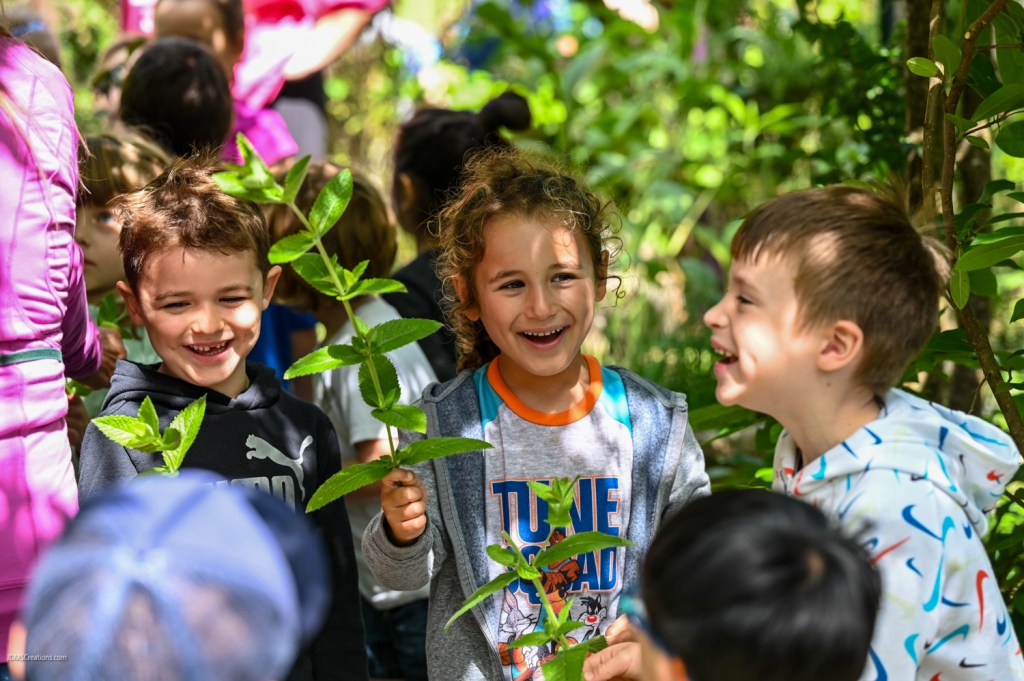 2023 SJCC Summer J&nbsp;Camp